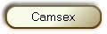 Camsex